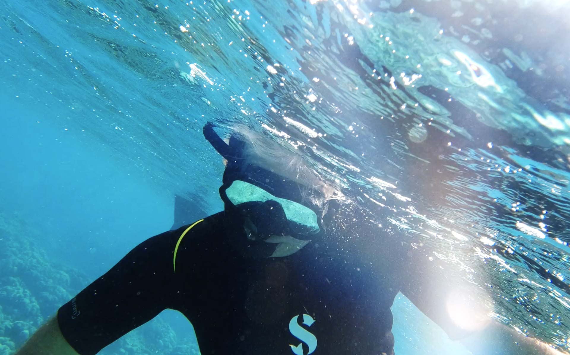 Titel underwater