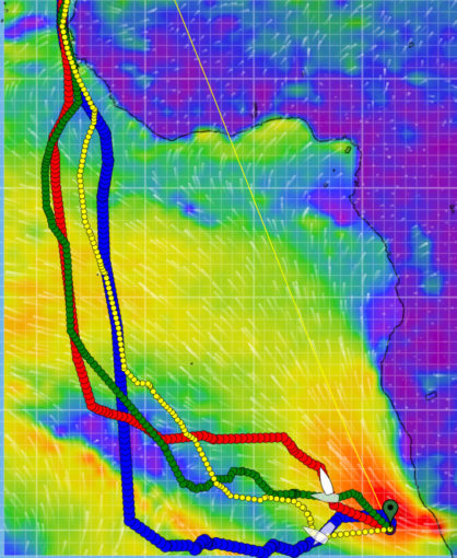 weather-routing