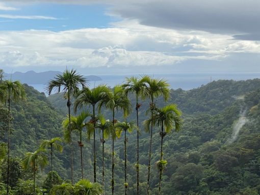 martinique view