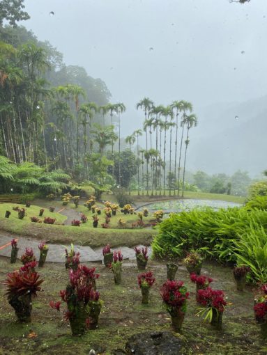 rain_in_martinique