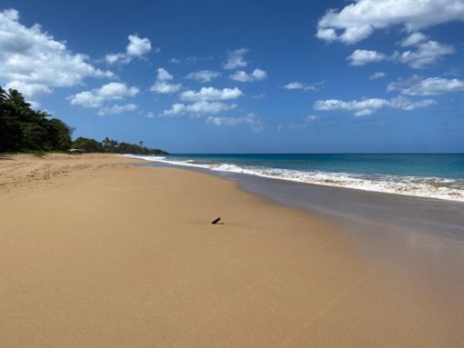 guadeloupe_beach