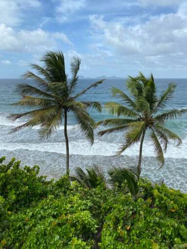 grenada_beach