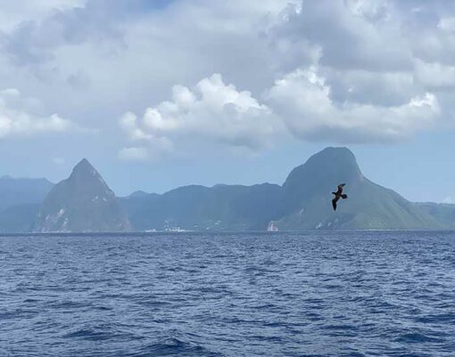 pitons-st. lucia