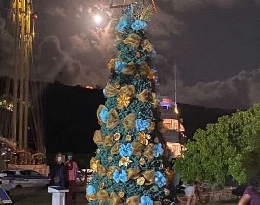 christmas tree moonlight