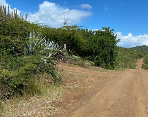 Road in Culebra
