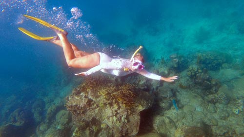 guadeloupe-schwimmen-schnorcheln-tauchen