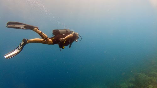 guadeloupe-schwimmen-schnorcheln-tauchen