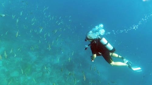 guadeloupe-schwimmen-schnorcheln-tauchen